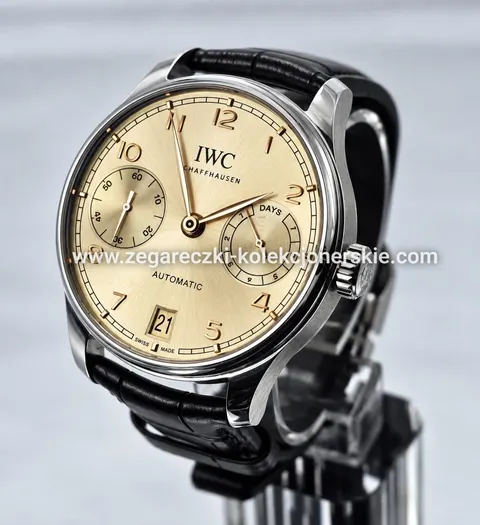 IWC ETA17