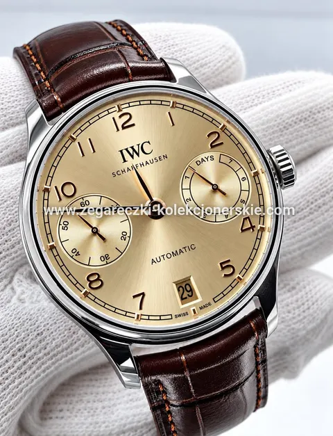 IWC ETA13