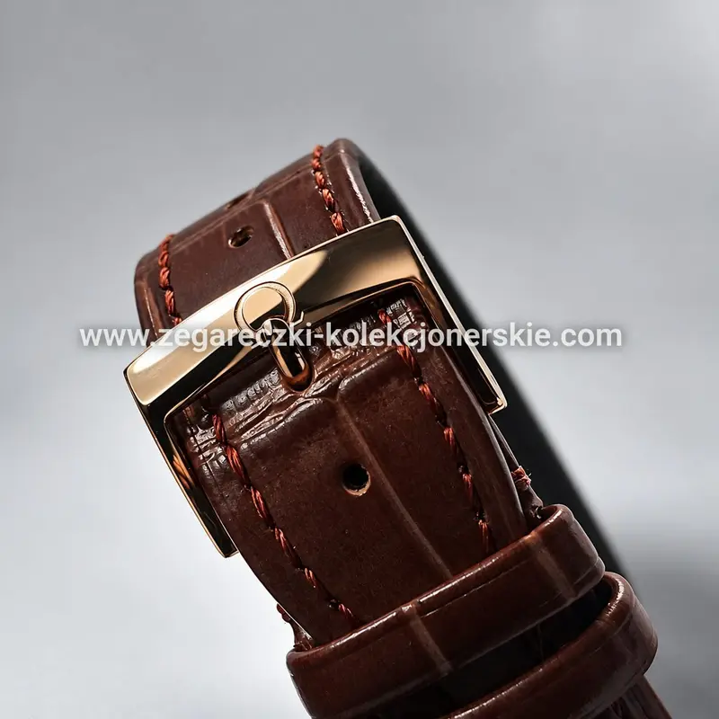 Omega ETA45, zdjęcie 6