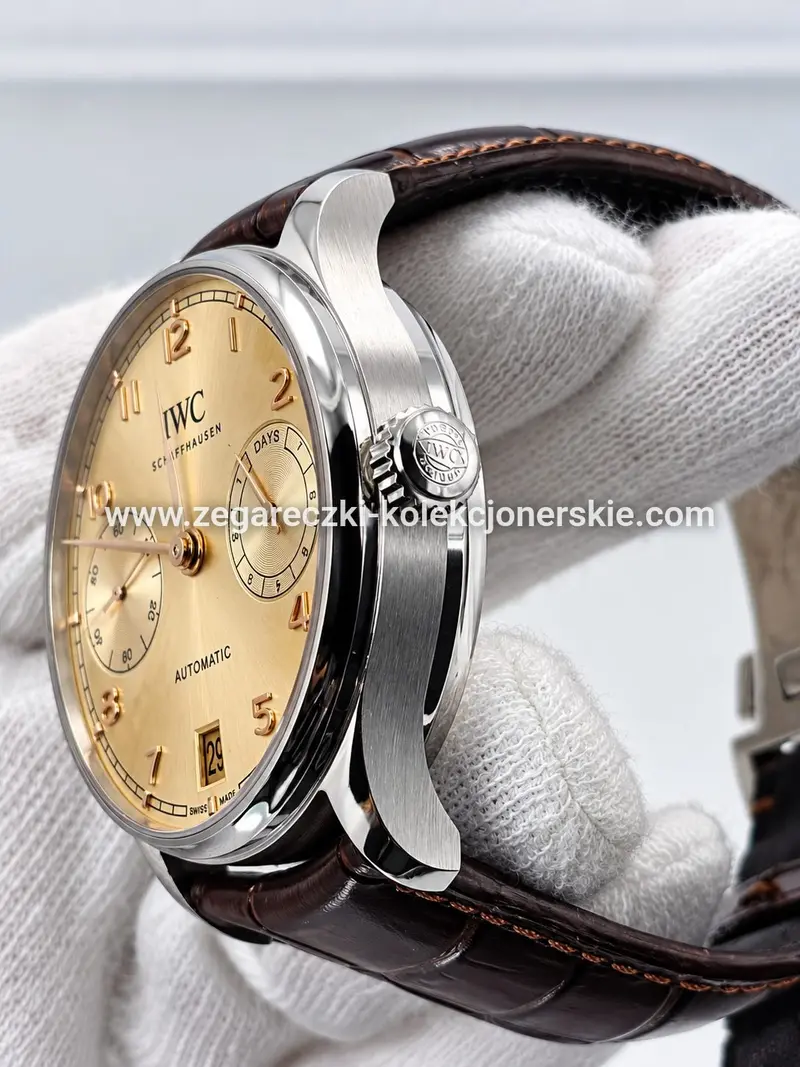 IWC ETA13, zdjęcie 5