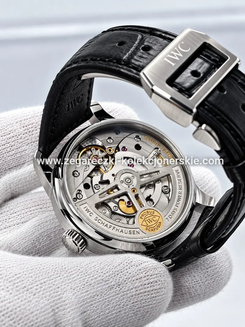 IWC ETA17, zdjęcie 7