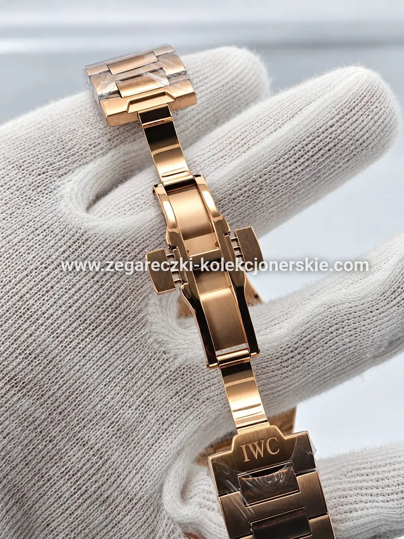 IWC ETA20, zdjęcie 8