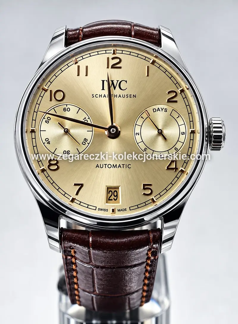 IWC ETA13, zdjęcie 2