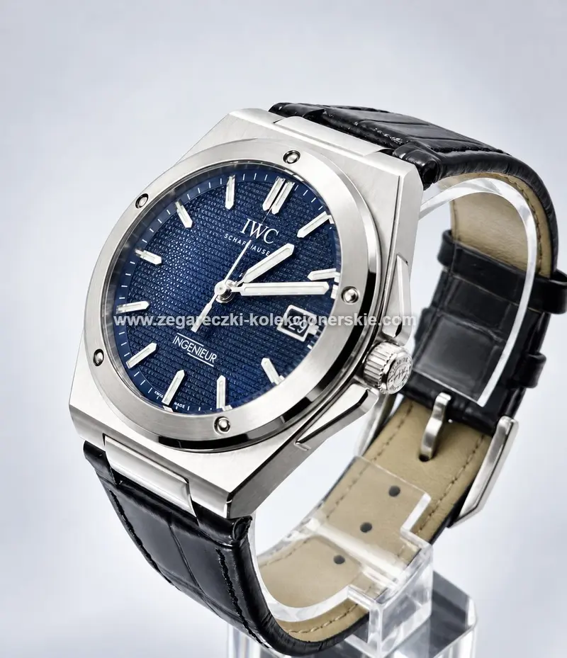 IWC ETA21, zdjęcie 4