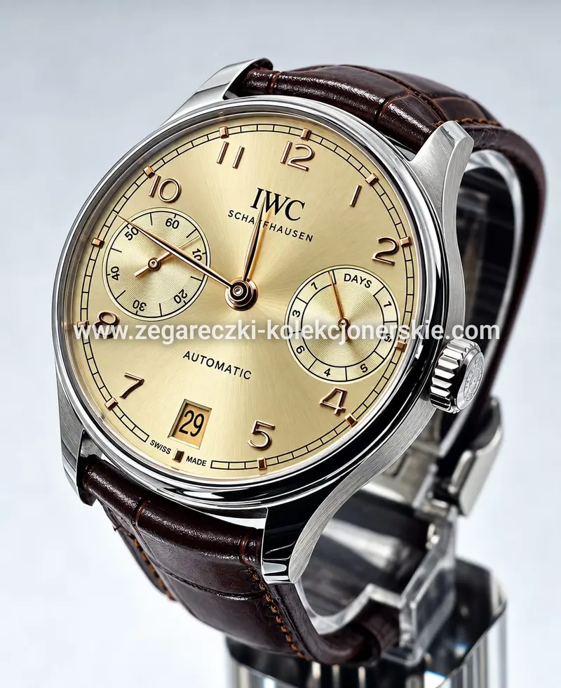 IWC ETA13, zdjęcie 3