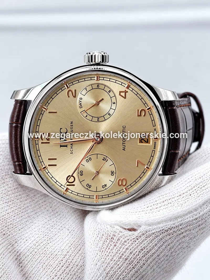 IWC ETA13, zdjęcie 11
