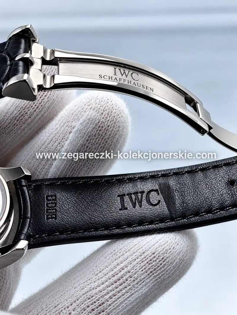 IWC ETA17, zdjęcie 10