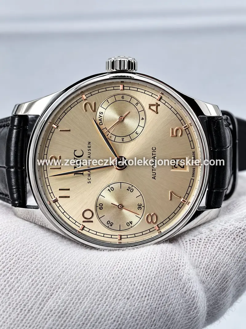 IWC ETA17, zdjęcie 11