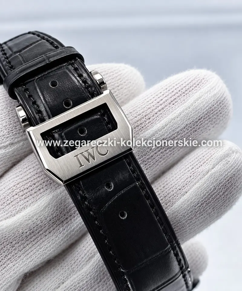IWC ETA17, zdjęcie 8