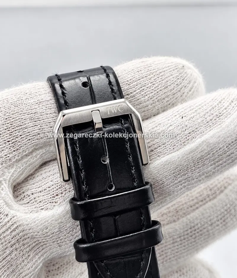 IWC ETA21, zdjęcie 8