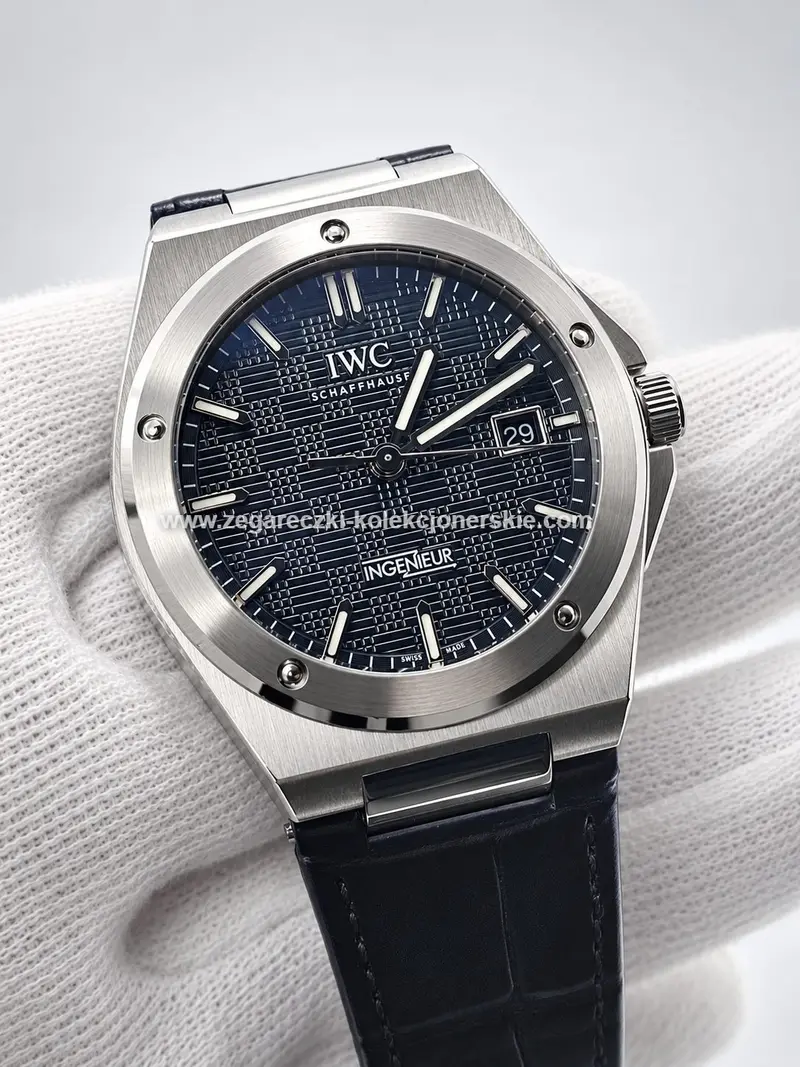 IWC ETA21, zdjęcie 3