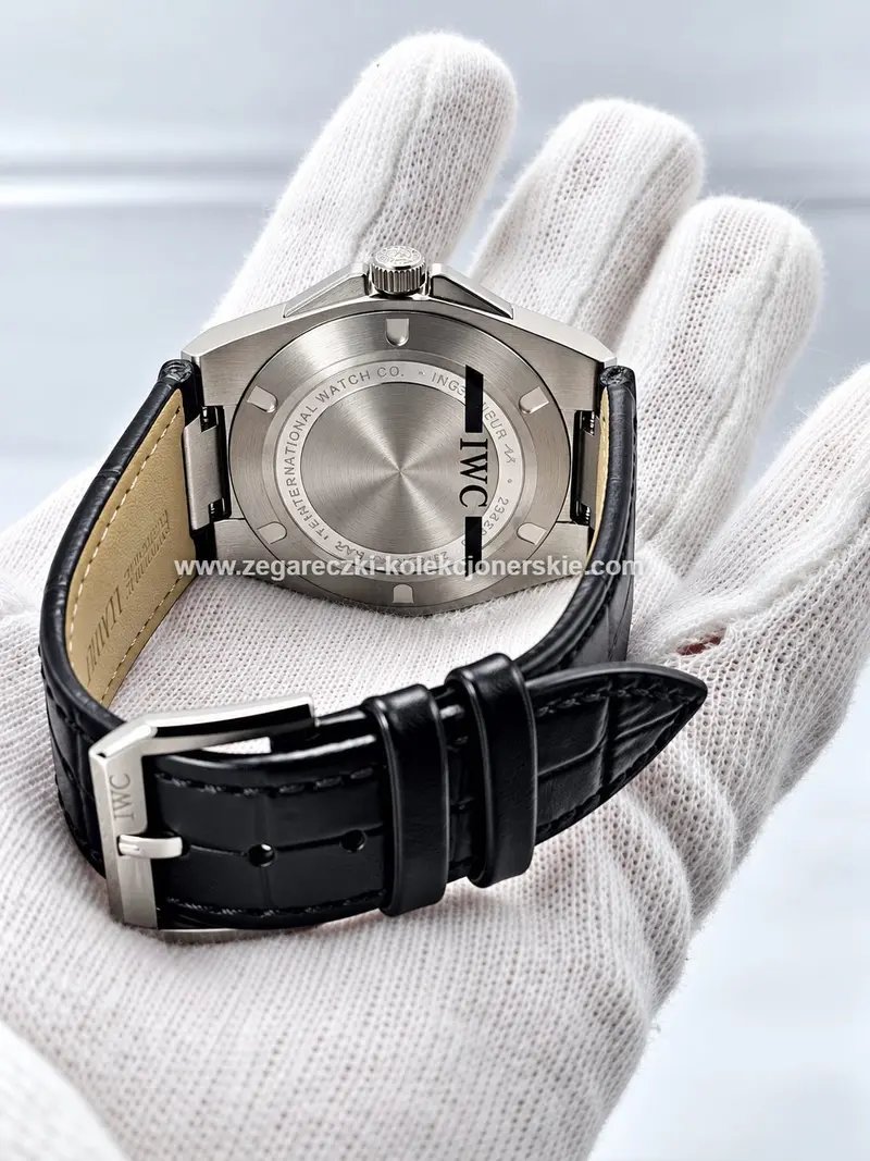IWC ETA21, zdjęcie 10