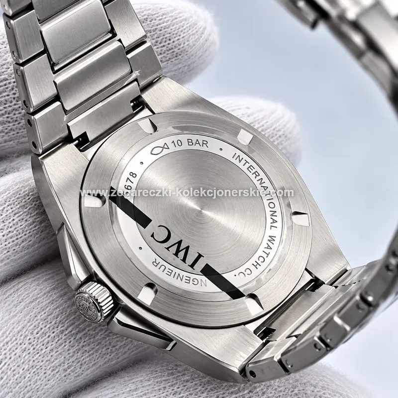 IWC ETA19, zdjęcie 5