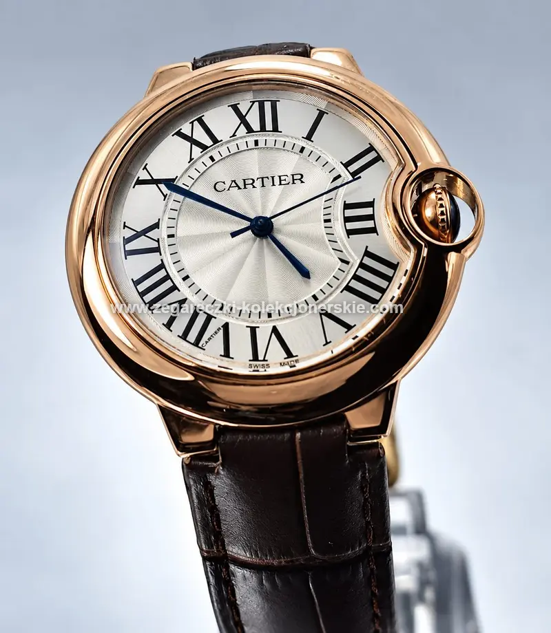 Cartier D16, zdjęcie 3