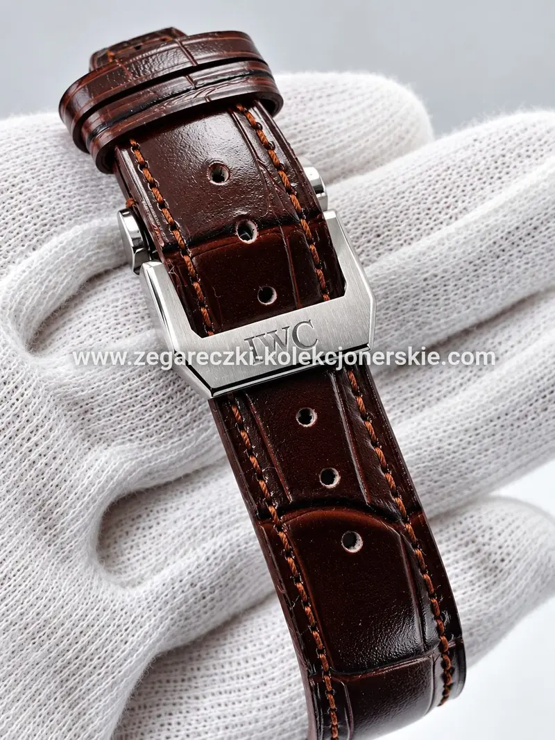 IWC ETA13, zdjęcie 8