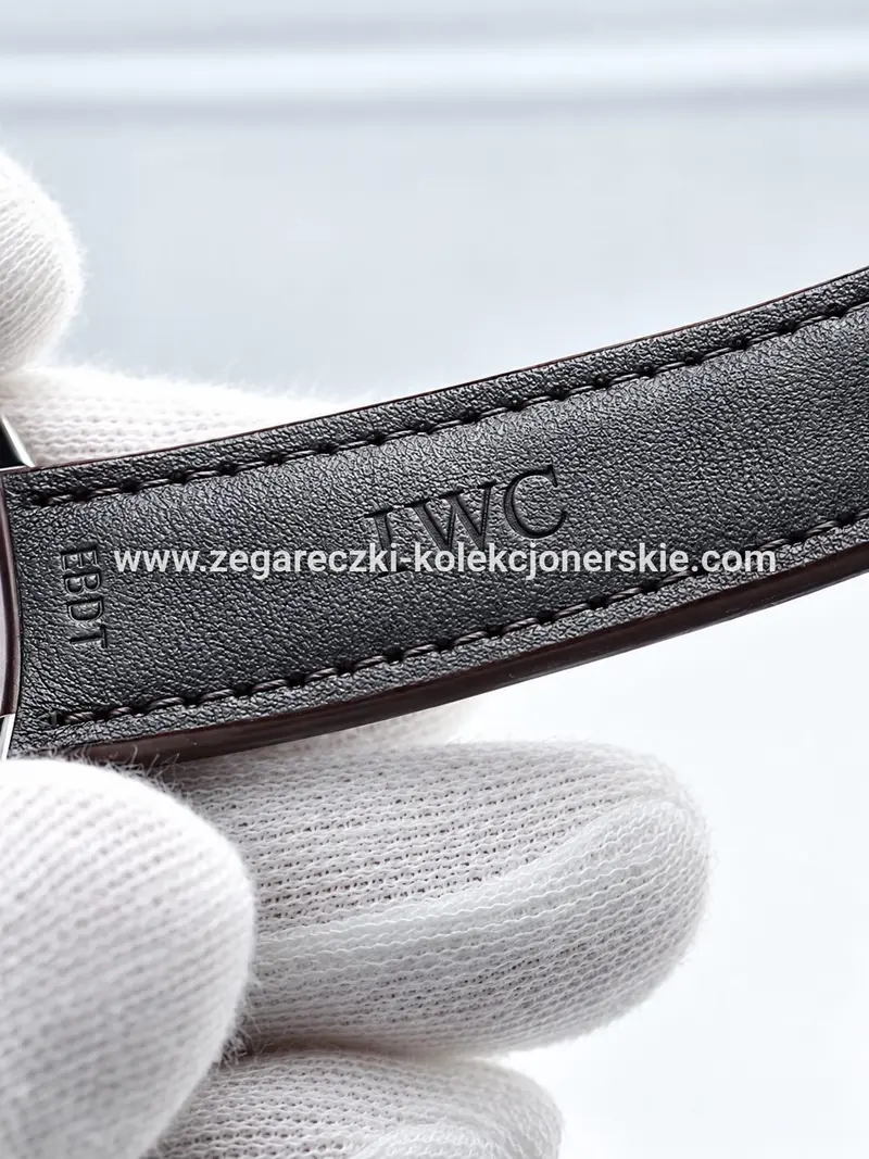 IWC ETA13, zdjęcie 10