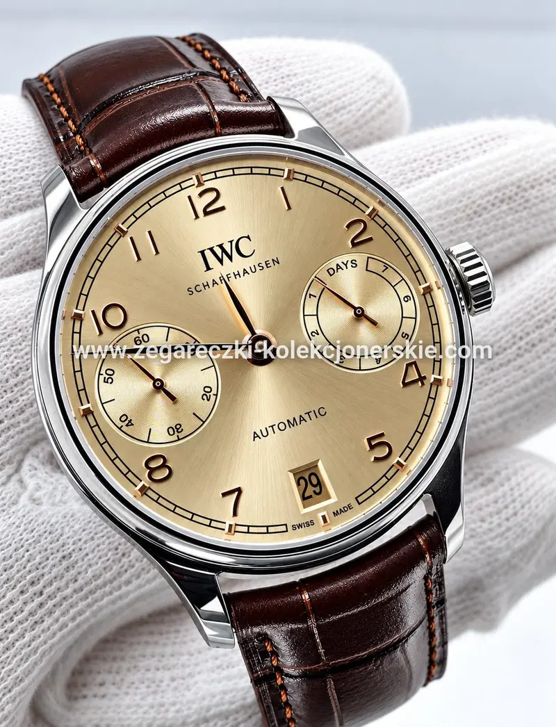 IWC ETA13