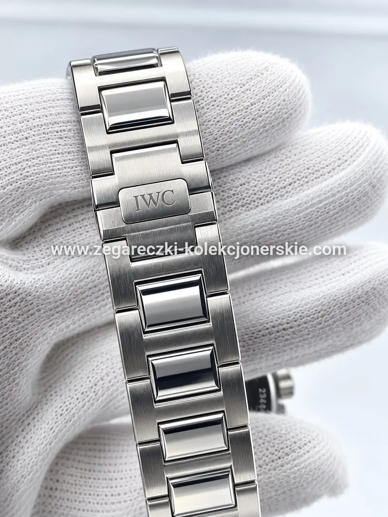 IWC ETA18, zdjęcie 8
