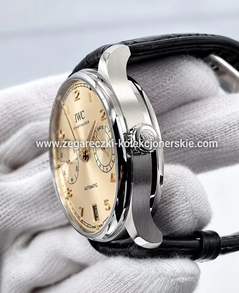 IWC ETA17, zdjęcie 5