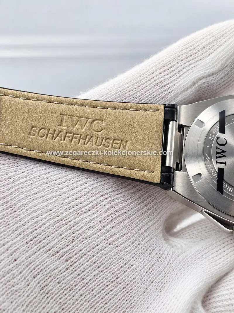 IWC ETA21, zdjęcie 7